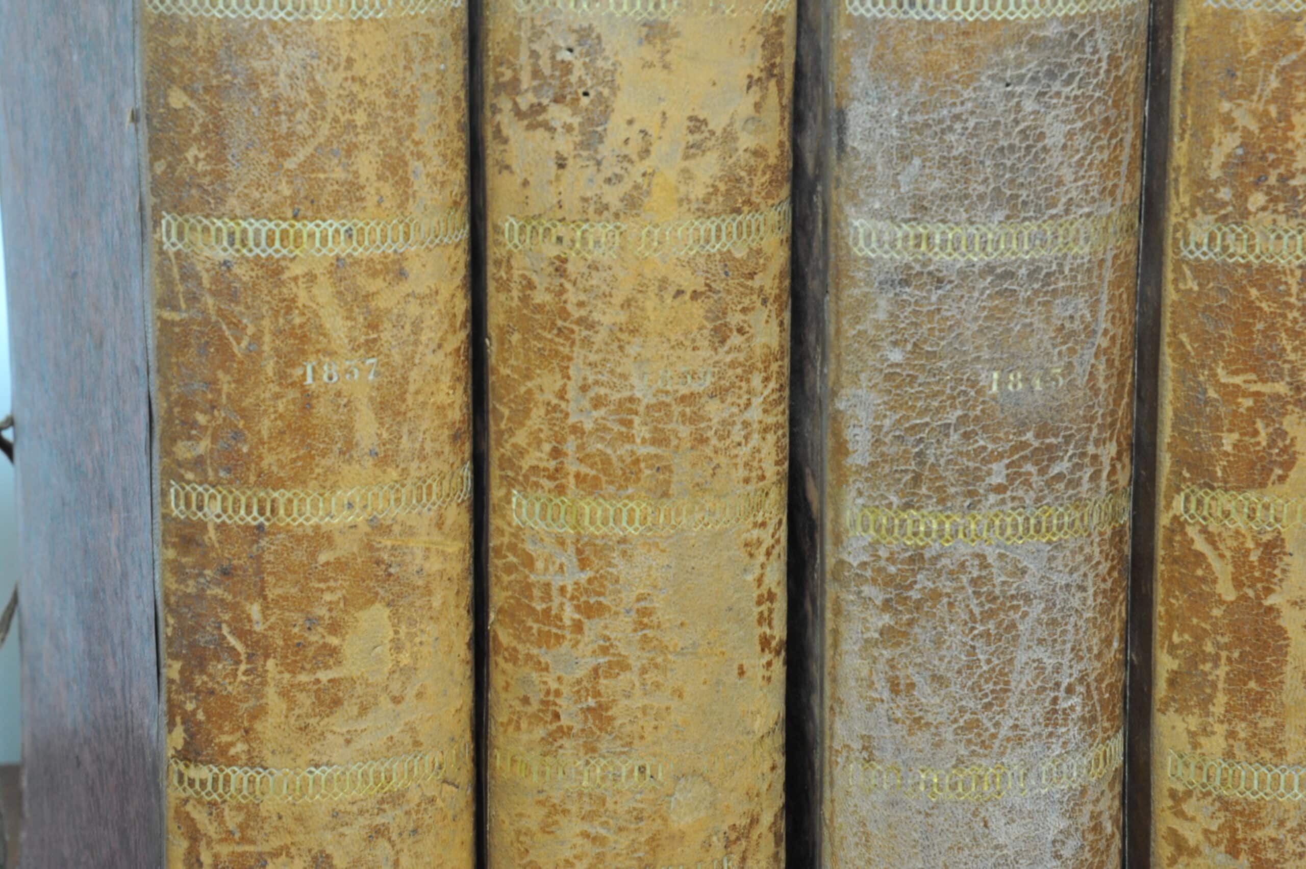 wonderful and rare set of eight vintage french faux livres false books