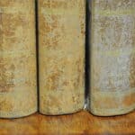 wonderful and rare set of eight vintage french faux livres false books