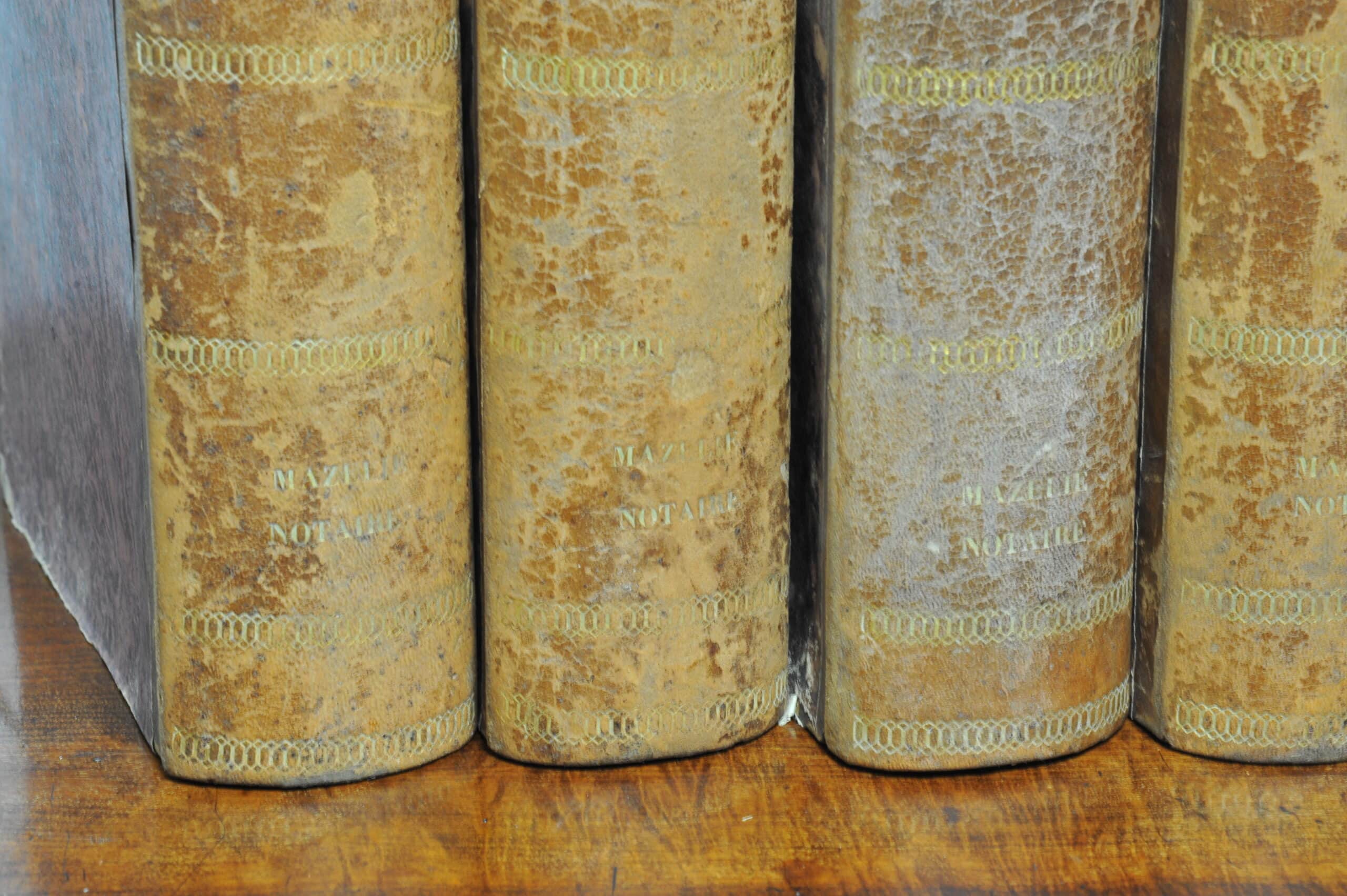 wonderful and rare set of eight vintage french faux livres false books
