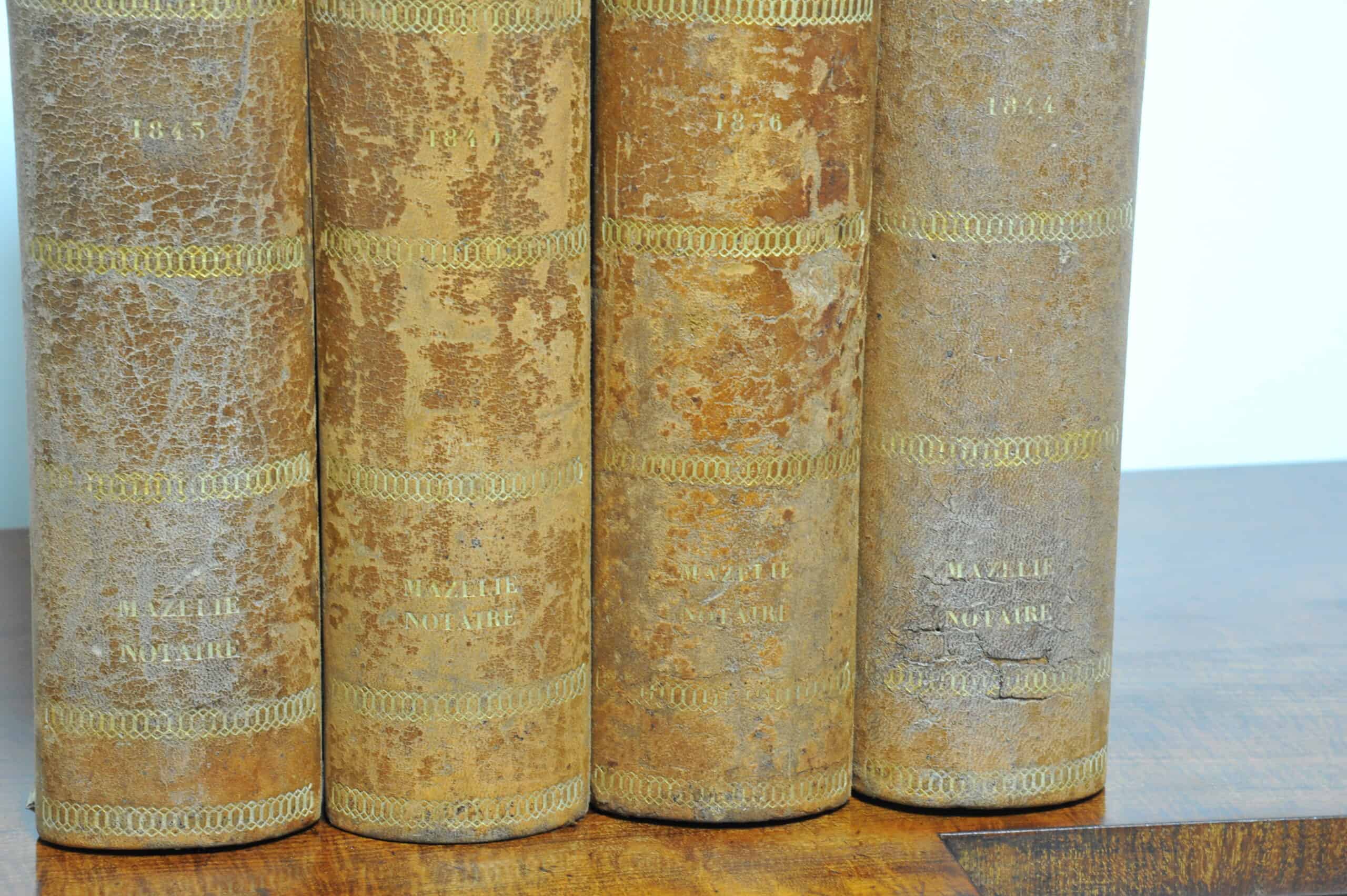 wonderful and rare set of eight vintage french faux livres false books