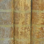 wonderful and rare set of eight vintage french faux livres false books