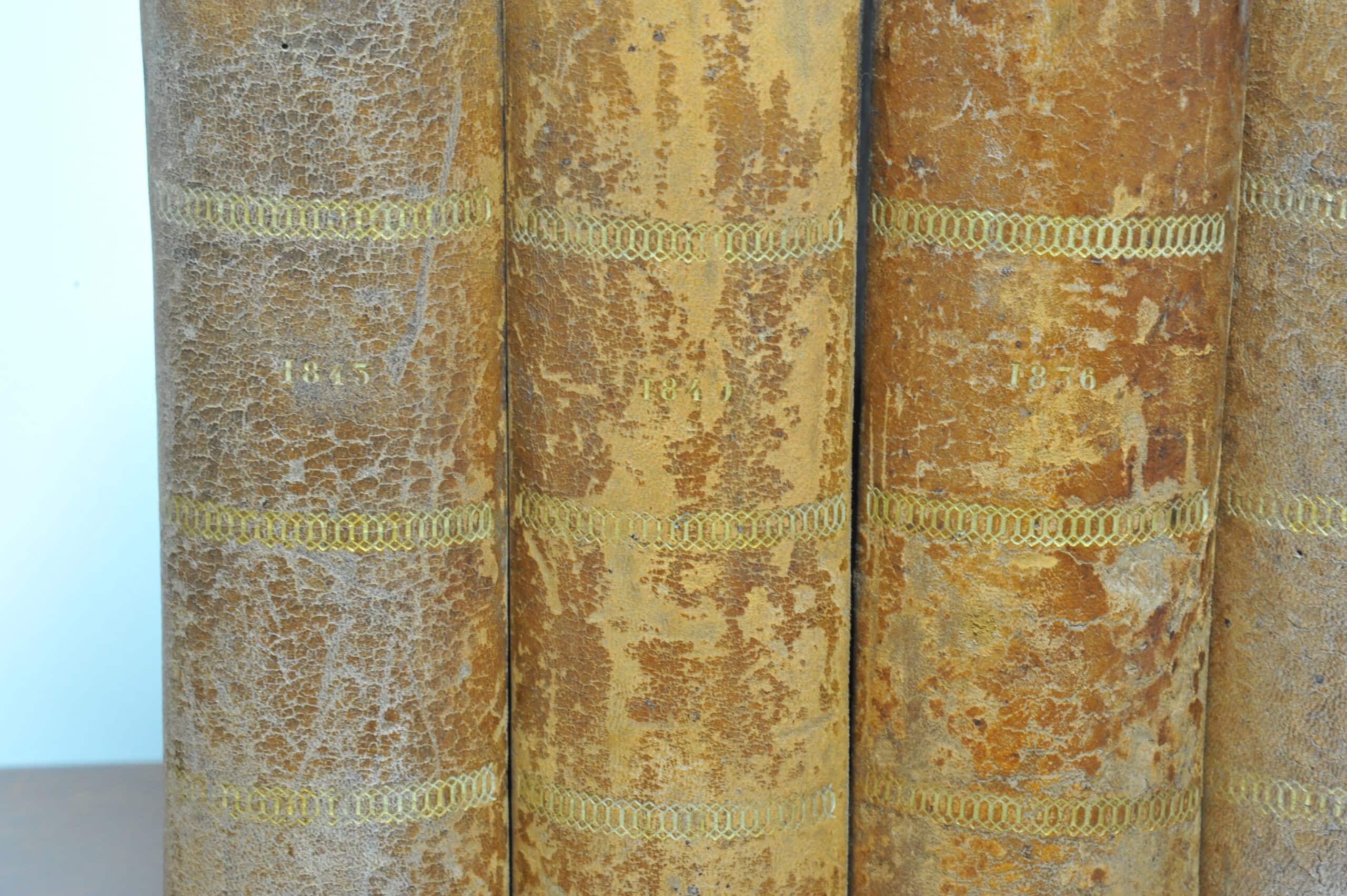 wonderful and rare set of eight vintage french faux livres false books