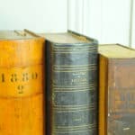 wonderful mix of antique vintage french faux livres (false books)