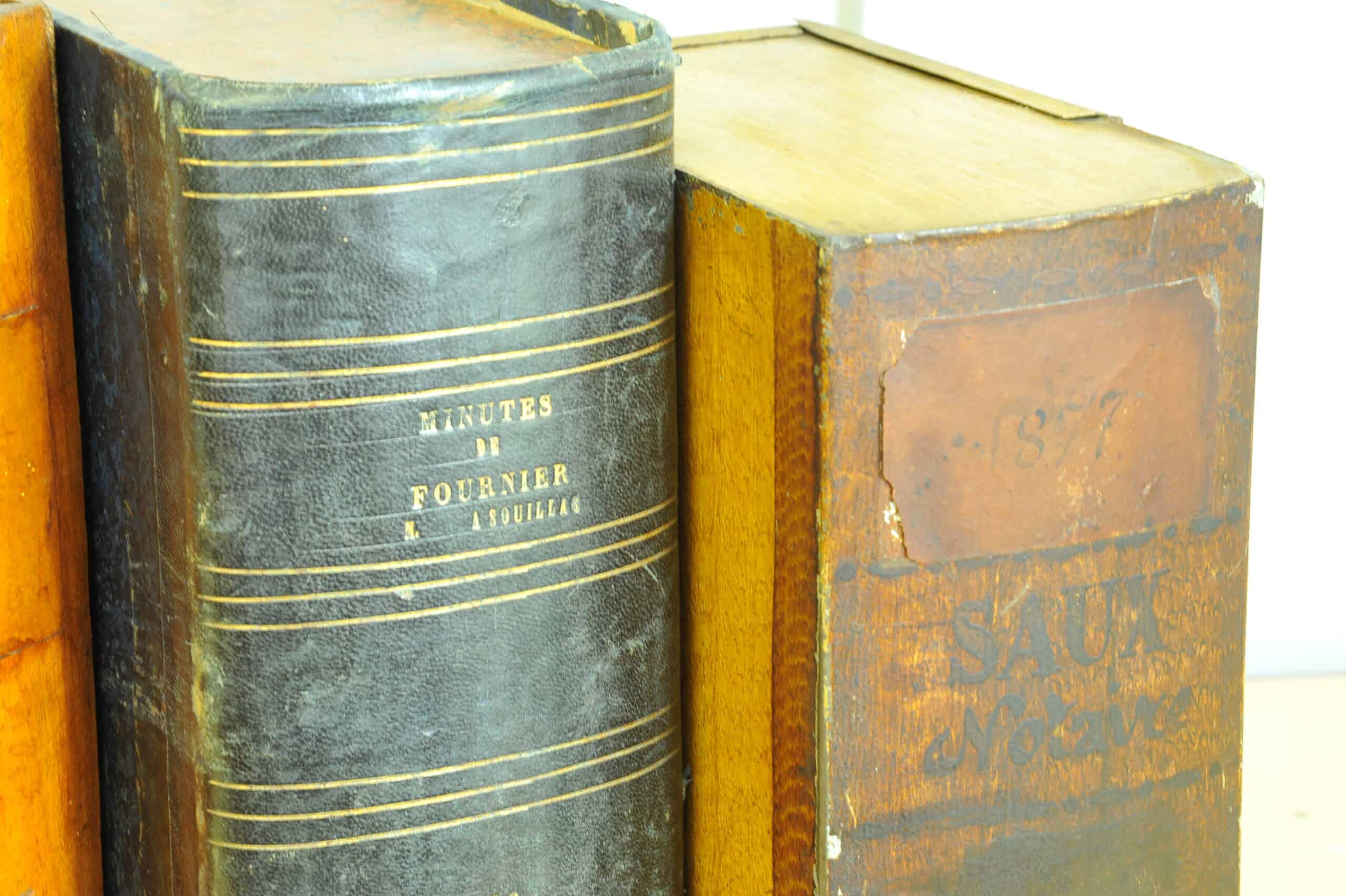 wonderful mix of antique vintage french faux livres (false books)