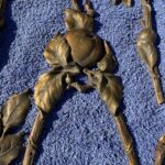 stunning and rare set of 19 gilt bronze appliques by poix blin