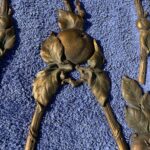 stunning and rare set of 19 gilt bronze appliques by poix blin
